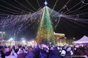 ёлка гродно