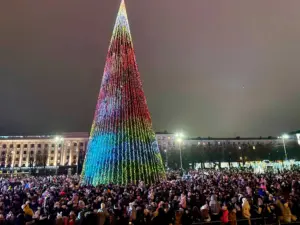 ёлка могилёв