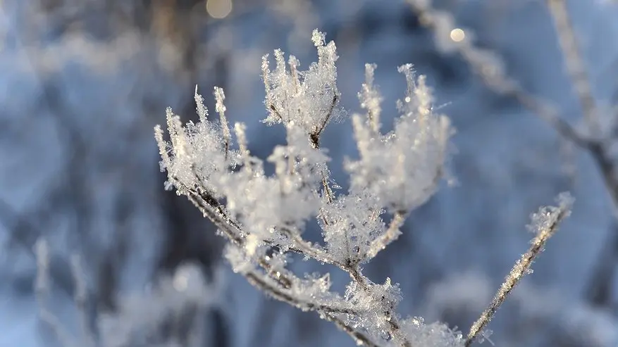 Беларусь перед Новым годом уходит в минус — чего ждать от зимы зима